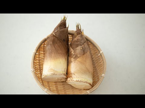 How to cook Fresh  BAMBOO SHOOT  | Perfect Guide | Japanese spring delicacy | Takenoko たけのこの茹で方