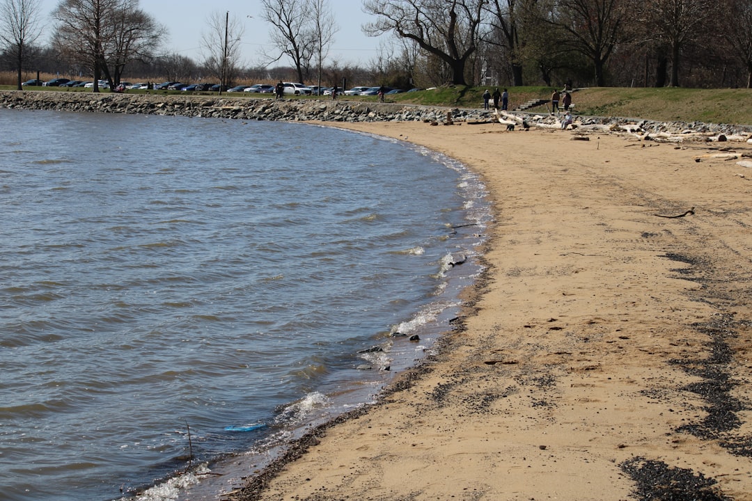 A sandy shoreline with gentle waves, a few people walking, and driftwood scattered, illustrating a natural environment ideal for sustainable choices like bamboo utensils.